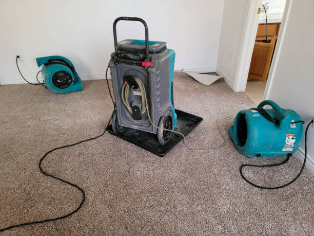 Best Sewage cleanup and water damage restoration  in Windsor, IL