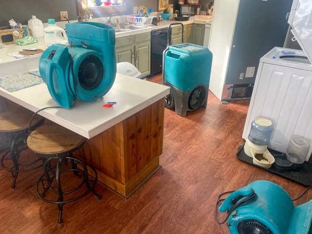 Best Local water damage restoration  in Windsor, IL