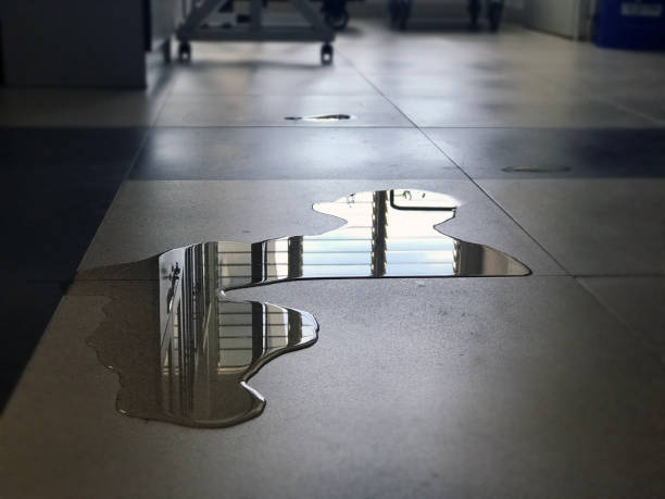 Best Professional water damage repair  in Windsor, IL