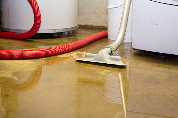 Best Mold removal after water damage  in Windsor, IL