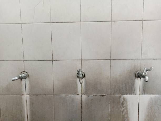 Best Sewage cleanup and water damage restoration  in Windsor, IL