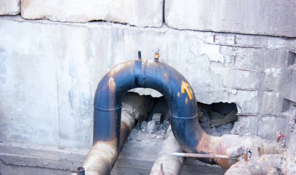 Best Basement water damage restoration  in Windsor, IL