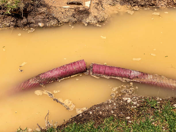 Best Water damage restoration experts  in Windsor, IL