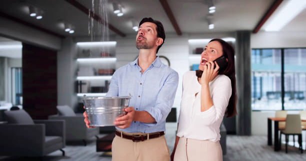 Water damage restoration experts in IL