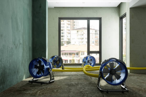 Best Carpet water damage restoration  in Windsor, IL