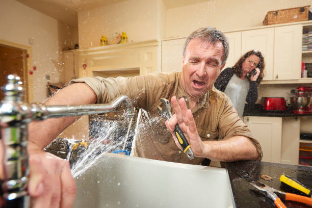Best Flood restoration services  in Windsor, IL